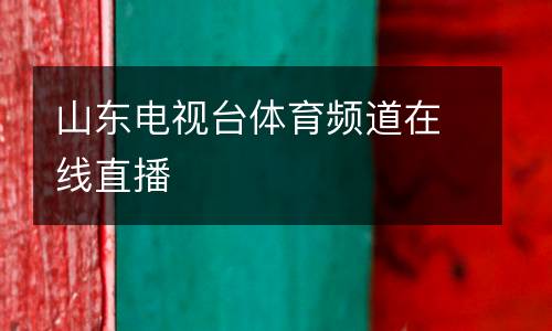 山東電視臺體育頻道在線直播